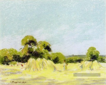  camille - étude pour la récolte à montfoucault 1879 Camille Pissarro